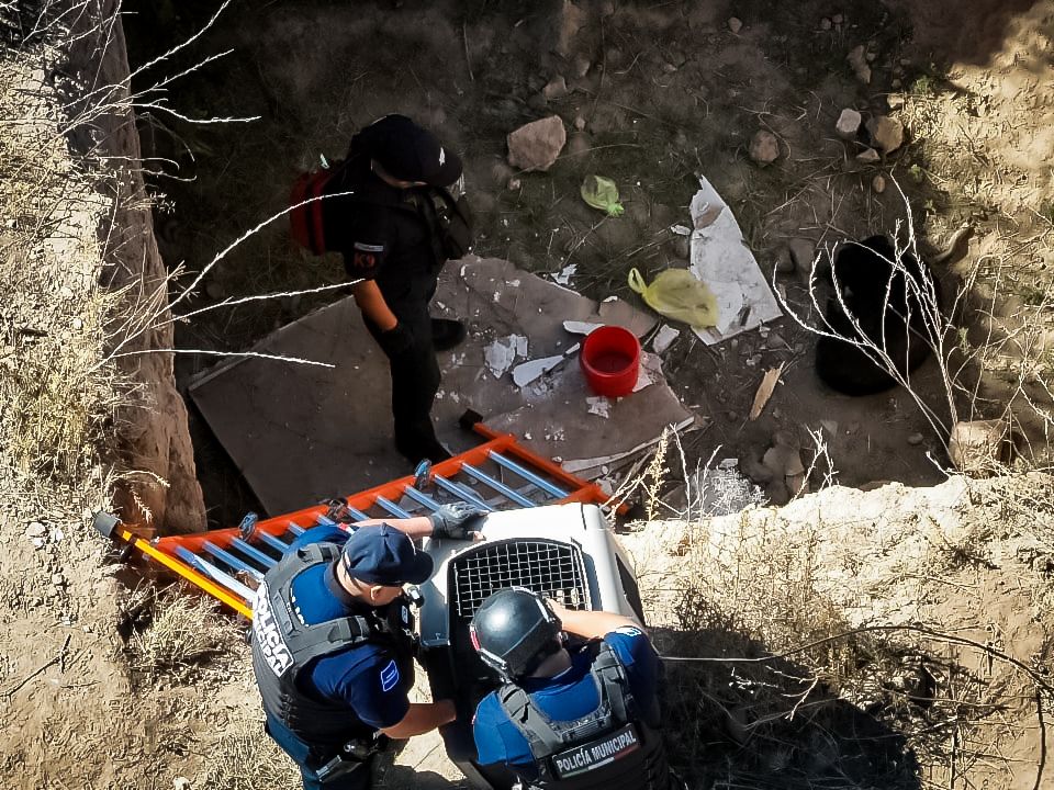 Con apoyo de drones, Seguridad Pública de Pachuca rescata a canino en La Loma hora25hidalgo.wordpress.com/2026/03/22/con…