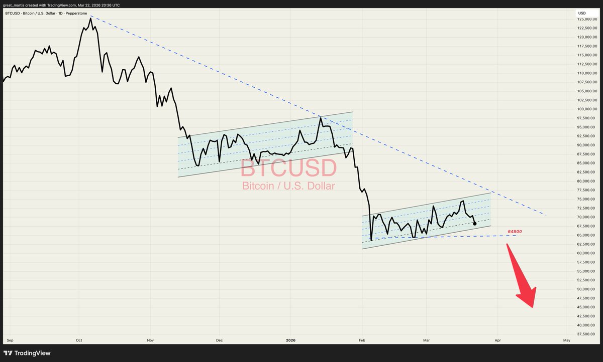 The Great Martis tweet media