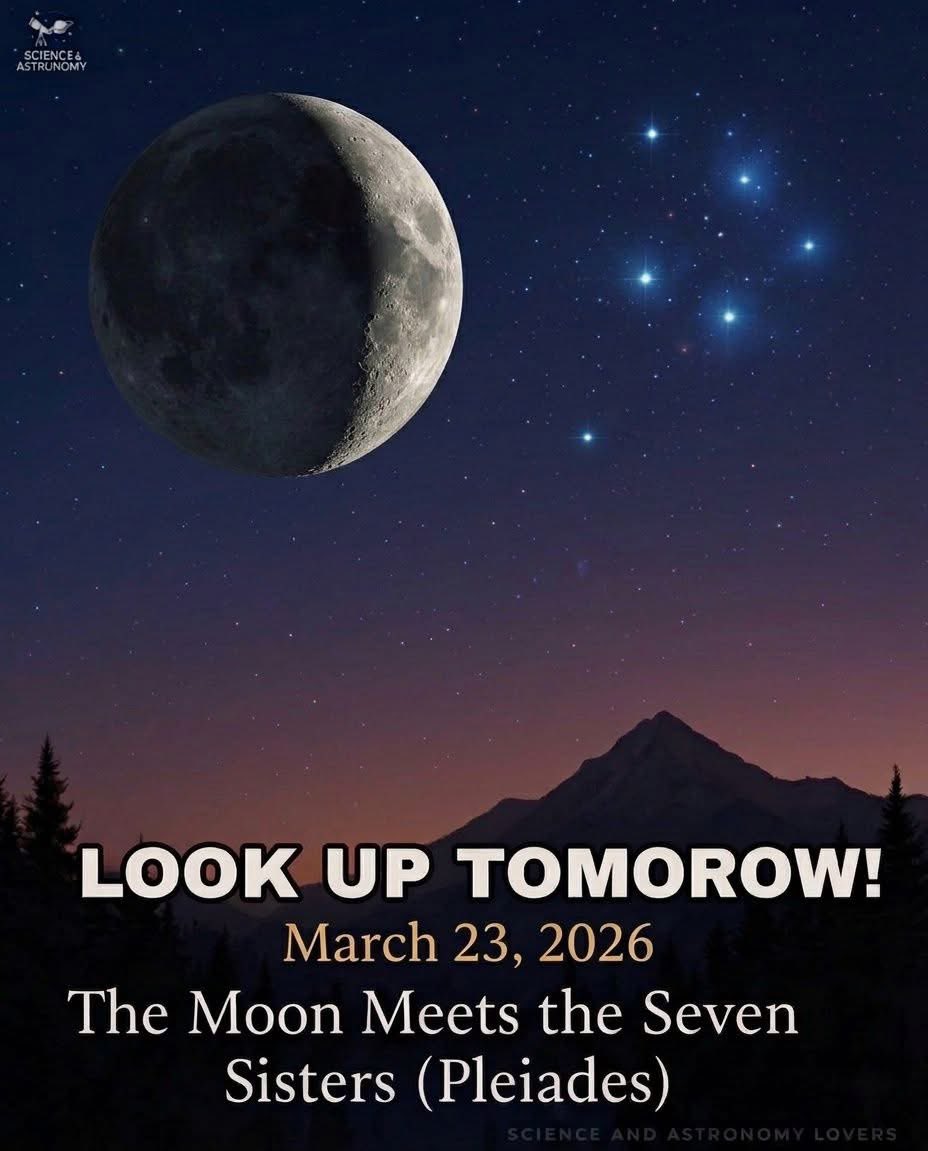 USMC Lady Vet 🇺🇸 tweet media