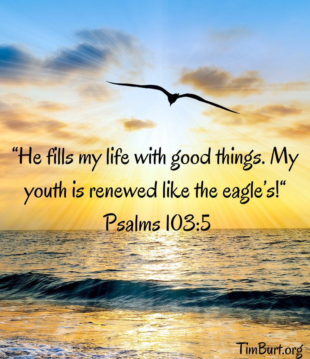 Timothy Burt tweet media