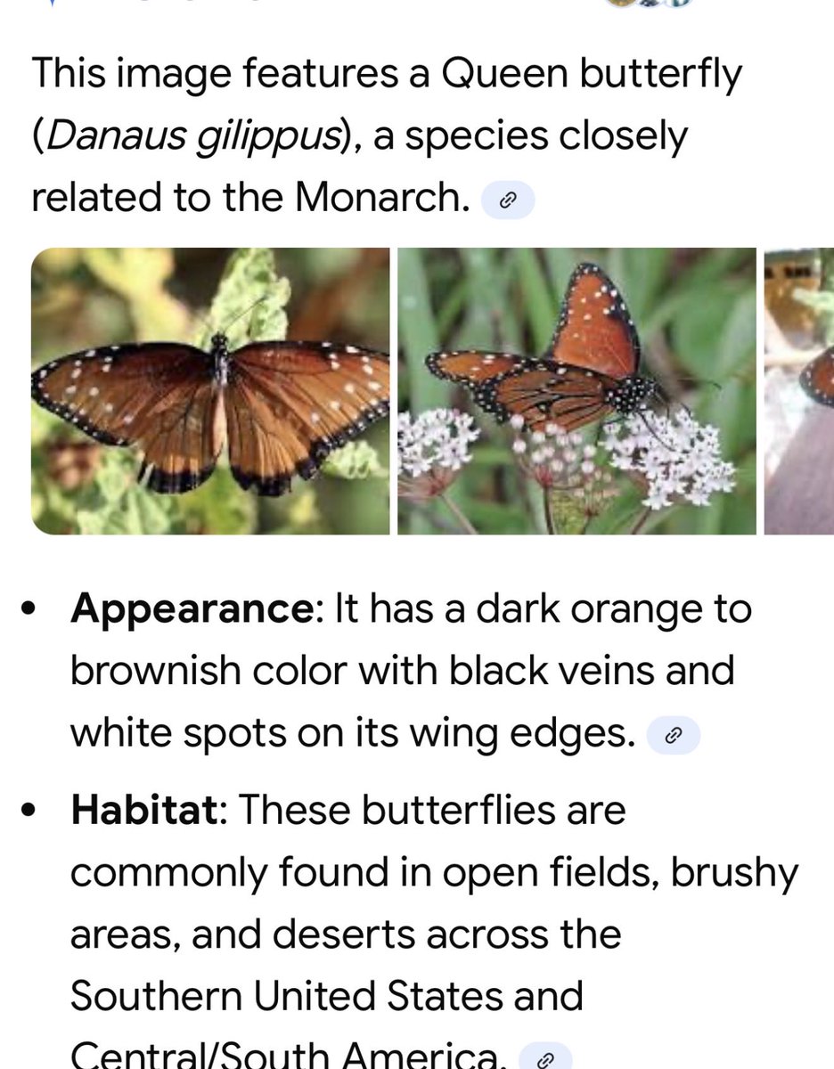 stanley lines tweet media