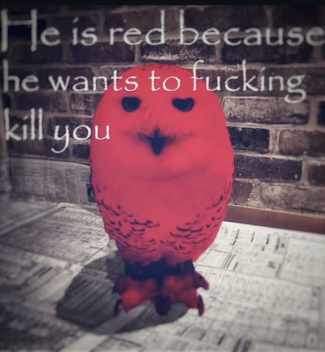 mika 🪽˚ִִ𓈒꒱ edtwt tweet media