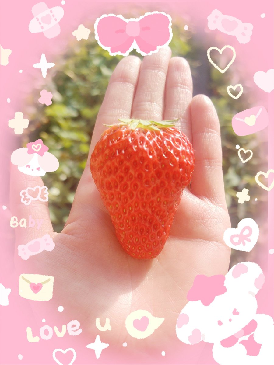 George Ostmenn tweet media