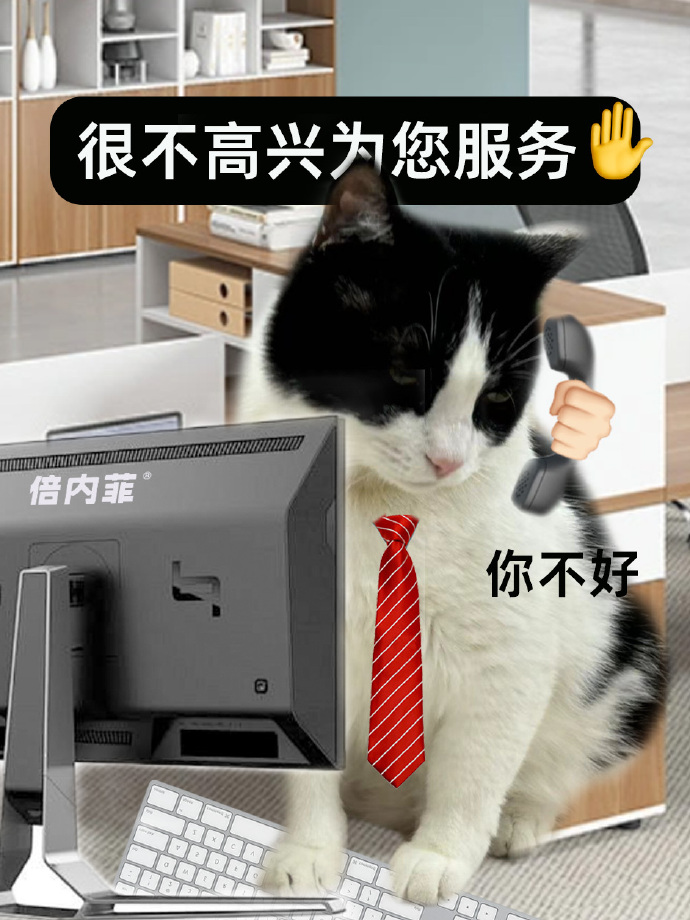 Katelyn Grissom tweet media