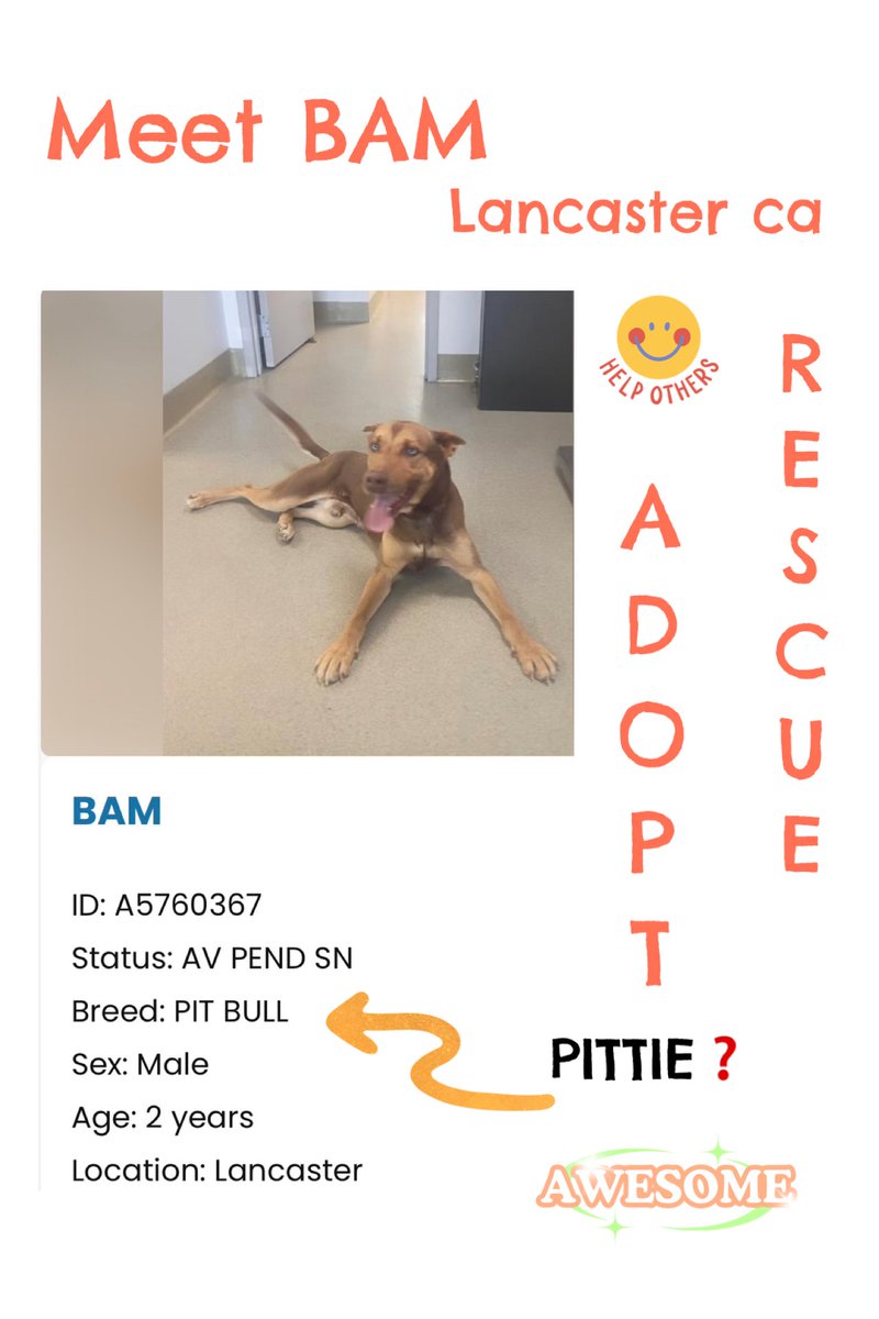 Sarah jane Gillespie tweet media