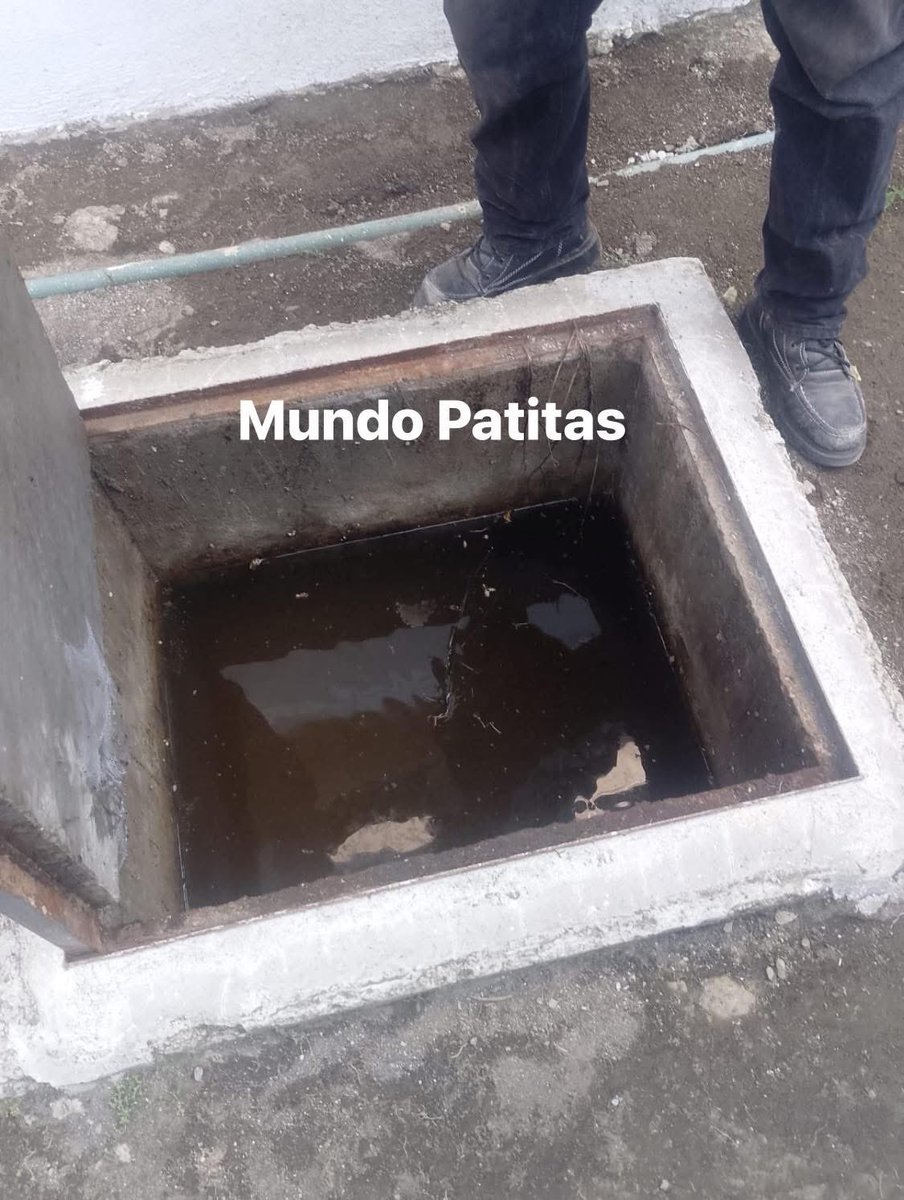 Mundo Patitas AC tweet media