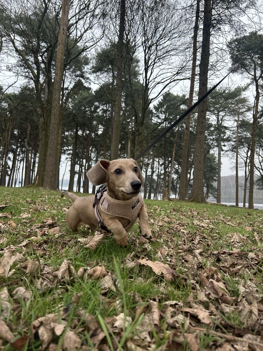 Kieron🇾🇪 tweet media