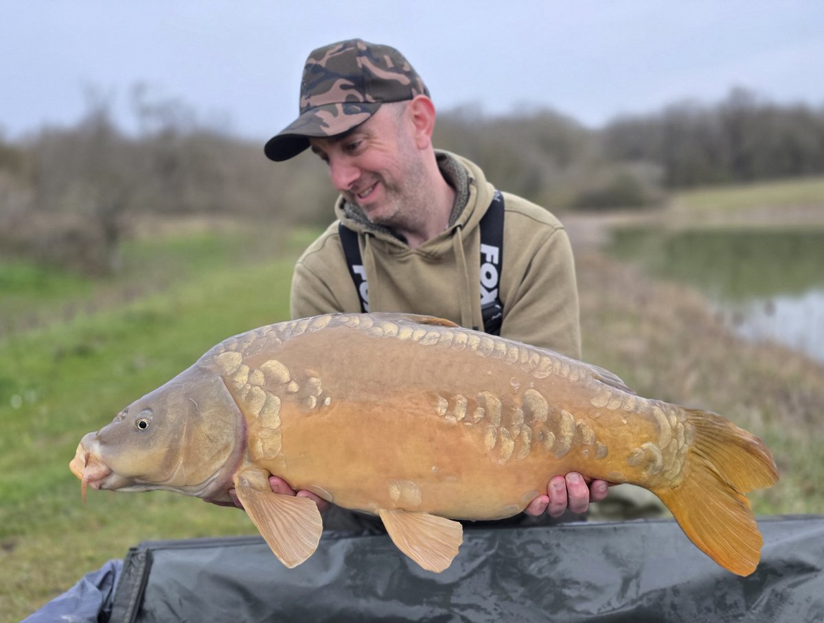 Dave Sacker 🏴 tweet media