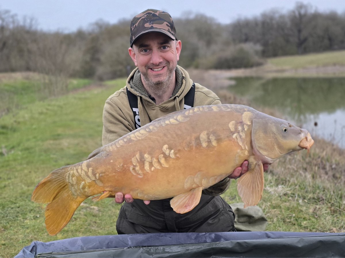 Dave Sacker 🏴 tweet media