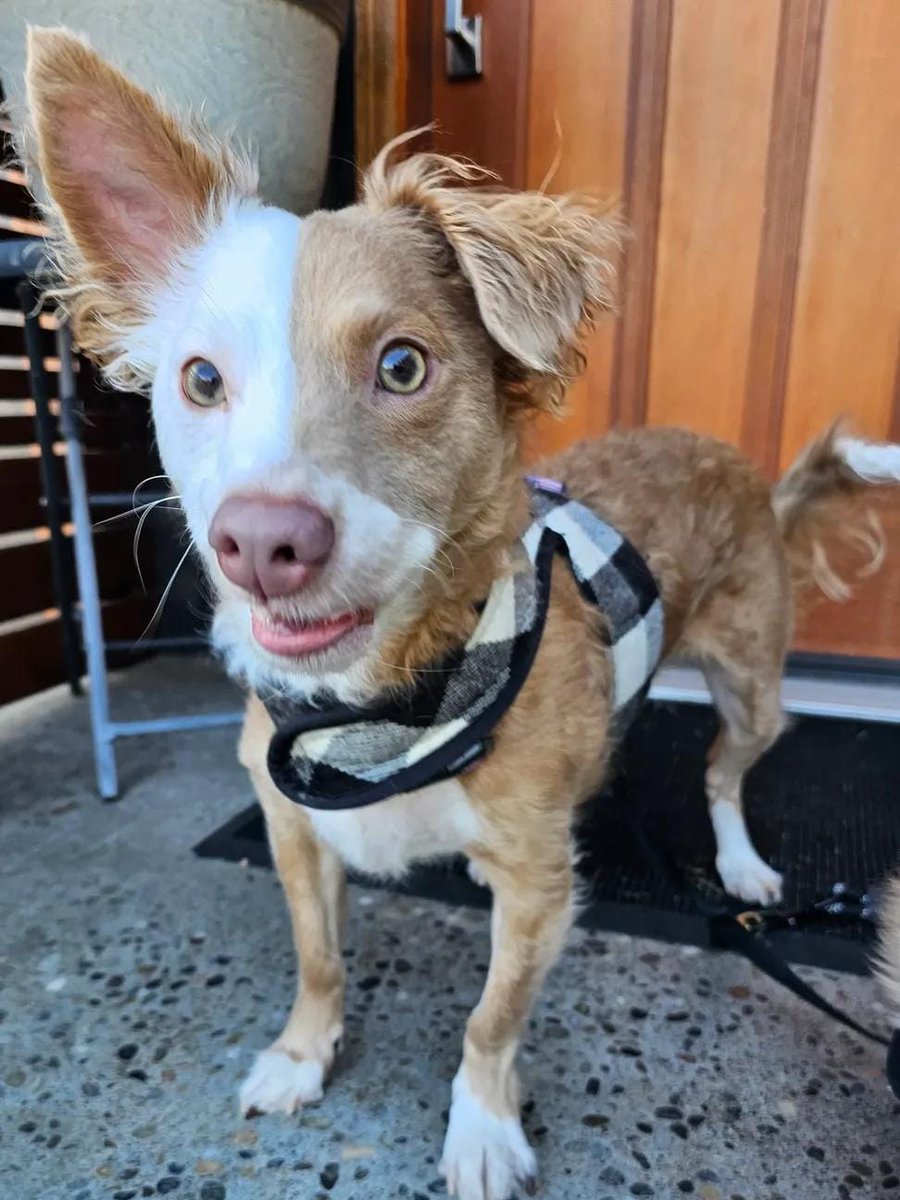 Miss Velora tweet media