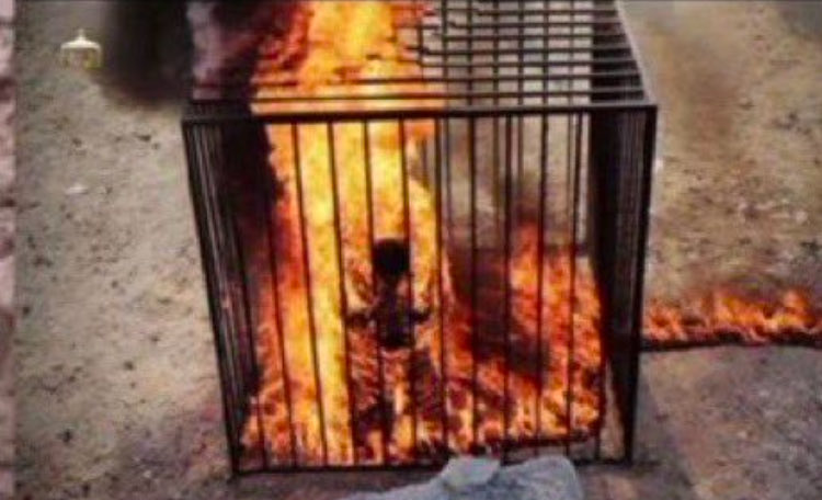 Mats J Simons tweet media