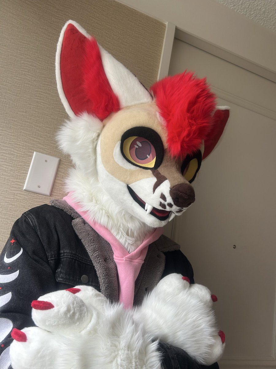 Scarlet Wings Fursuits tweet media