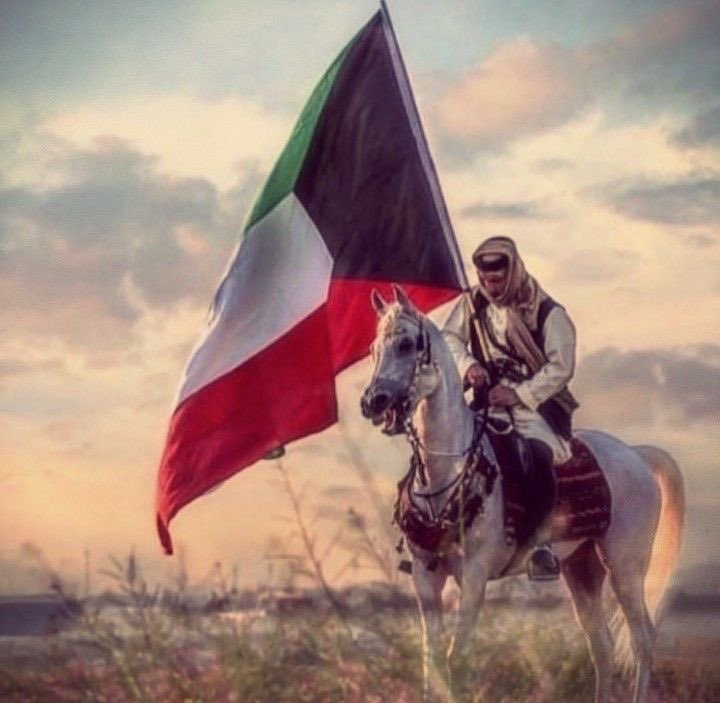 سداح العتيبي tweet media