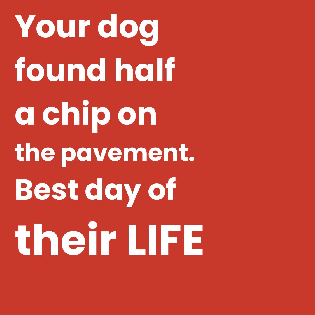 Phil Sledge tweet media