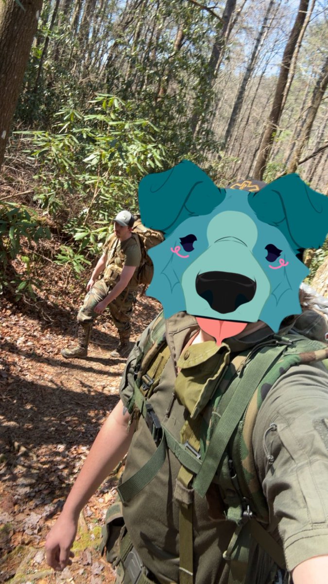 TRAXXTHEFURRY 🔜TBO tweet media