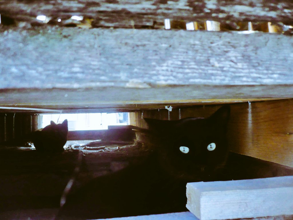 c.e.⚓📸👋 tweet media