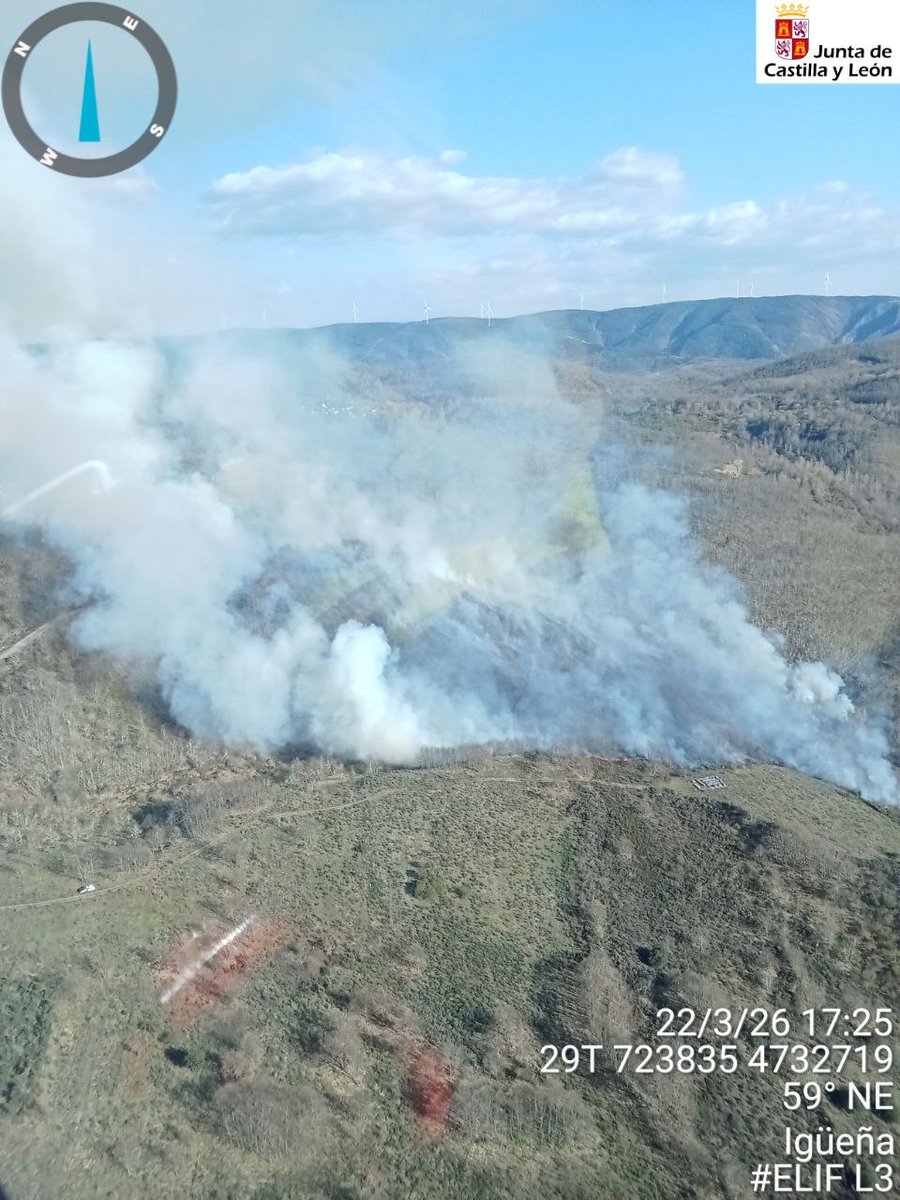 Naturaleza Castilla y León tweet media
