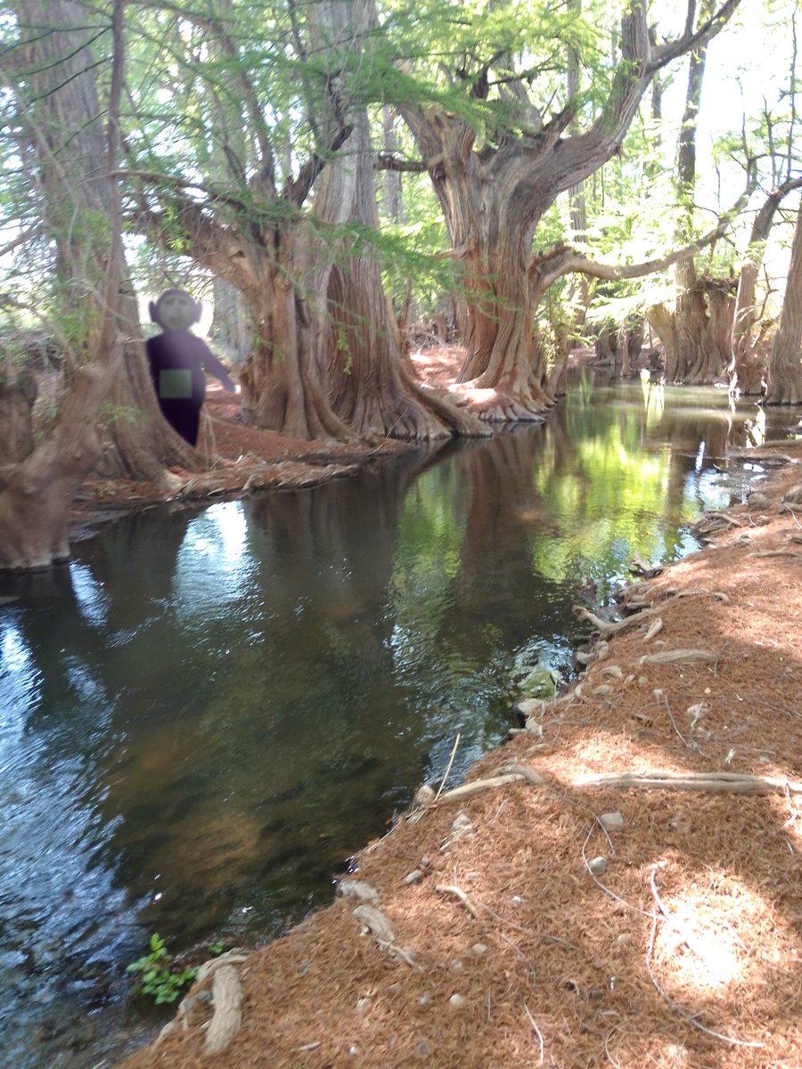 🌺Moon🌺 tweet media