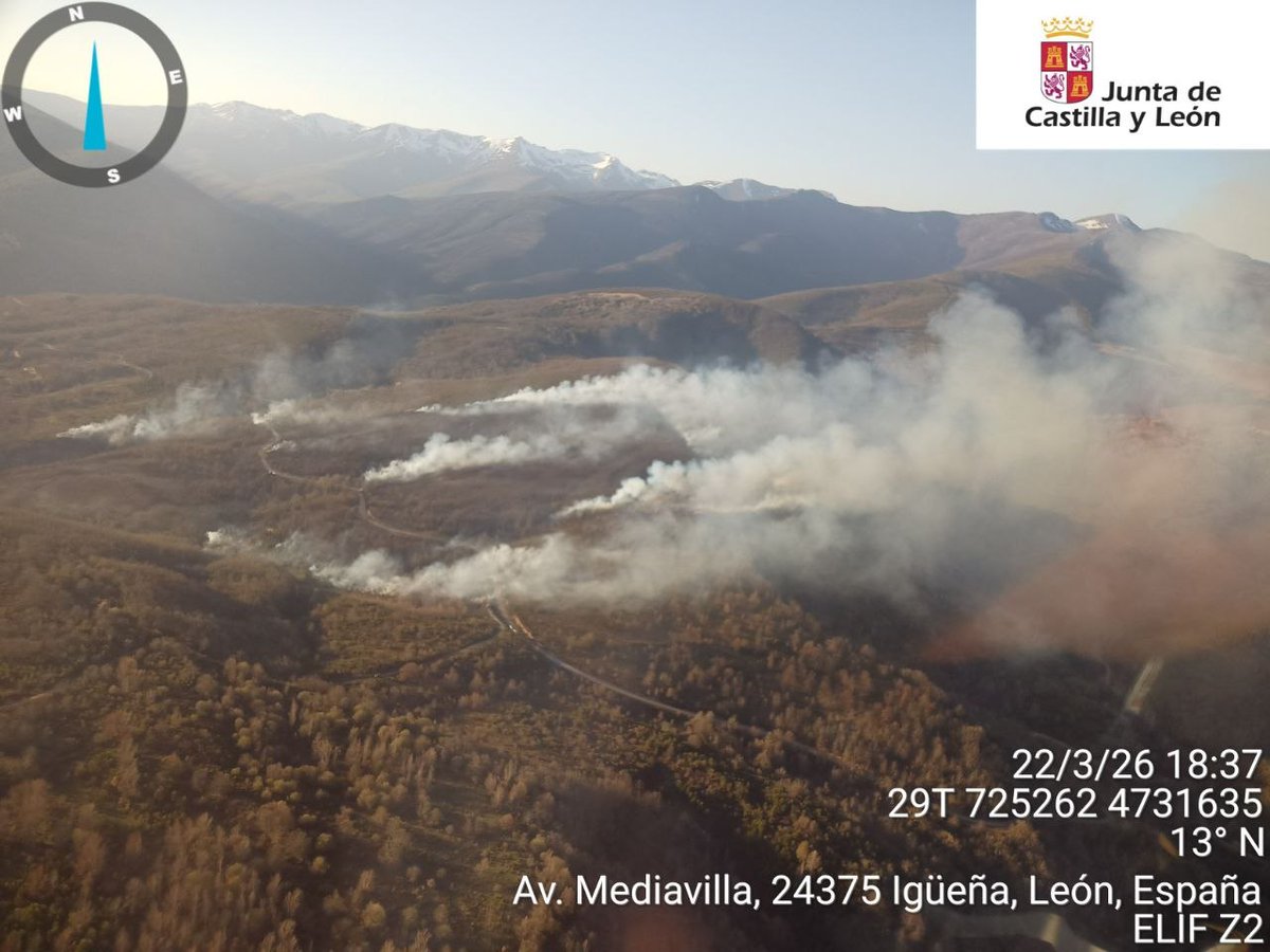 Naturaleza Castilla y León tweet media