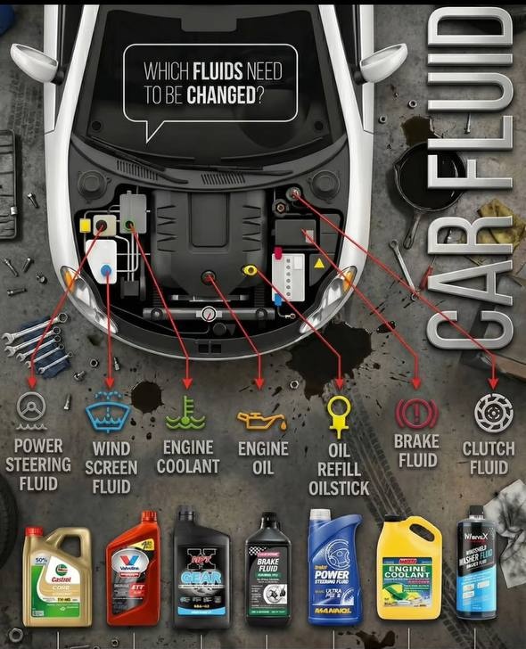 This Account Will Boost Your Knowledge (@dposts7) on Twitter photo 