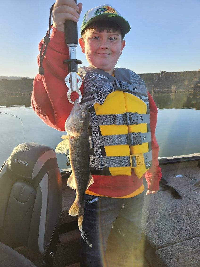 David Elder tweet media