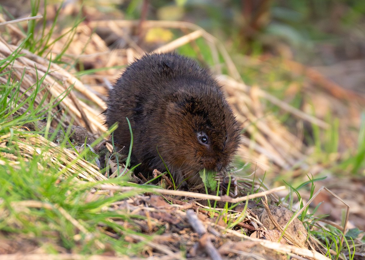 Stephanie Leese tweet media