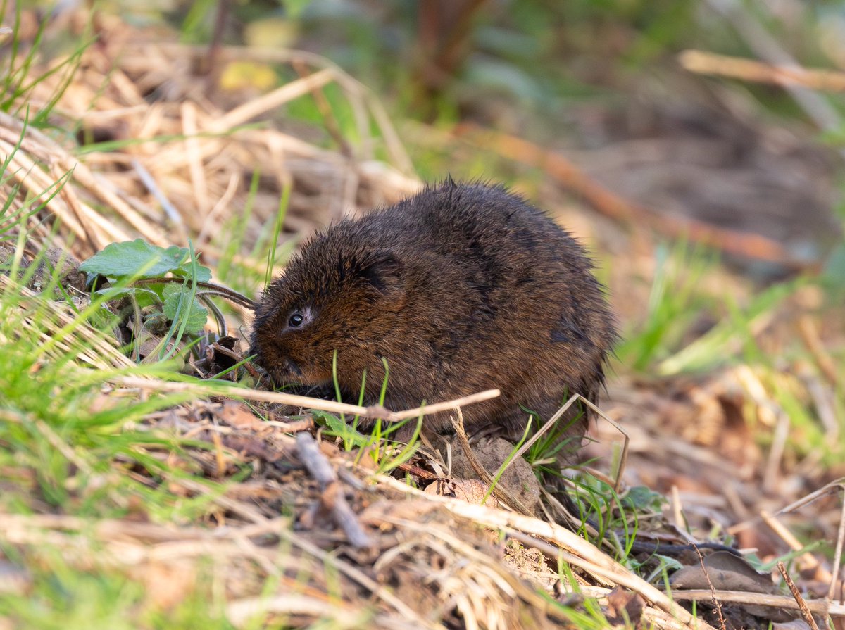 Stephanie Leese tweet media