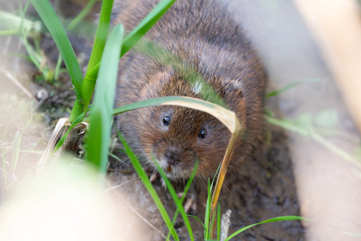 Stephanie Leese tweet media