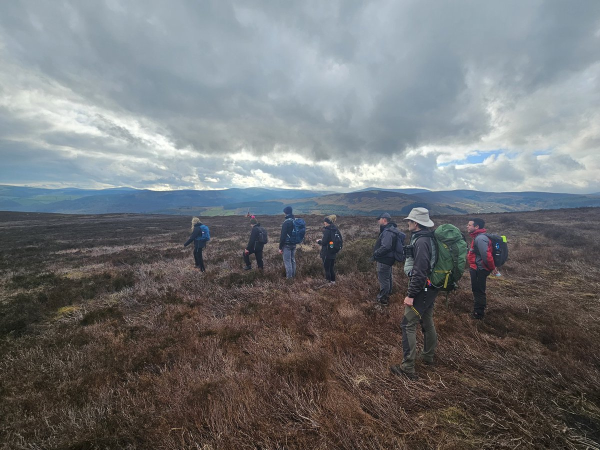 Adrian Hendroff tweet media