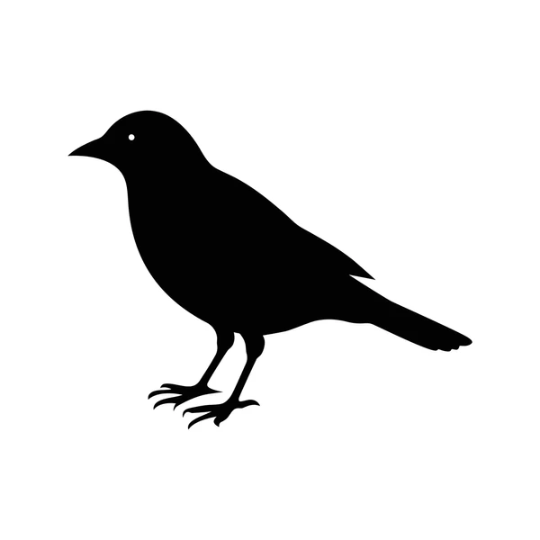 AndrewDixonMusic tweet media