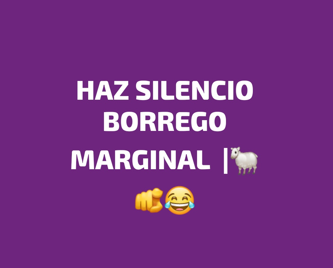 BellaAmapola77 tweet media