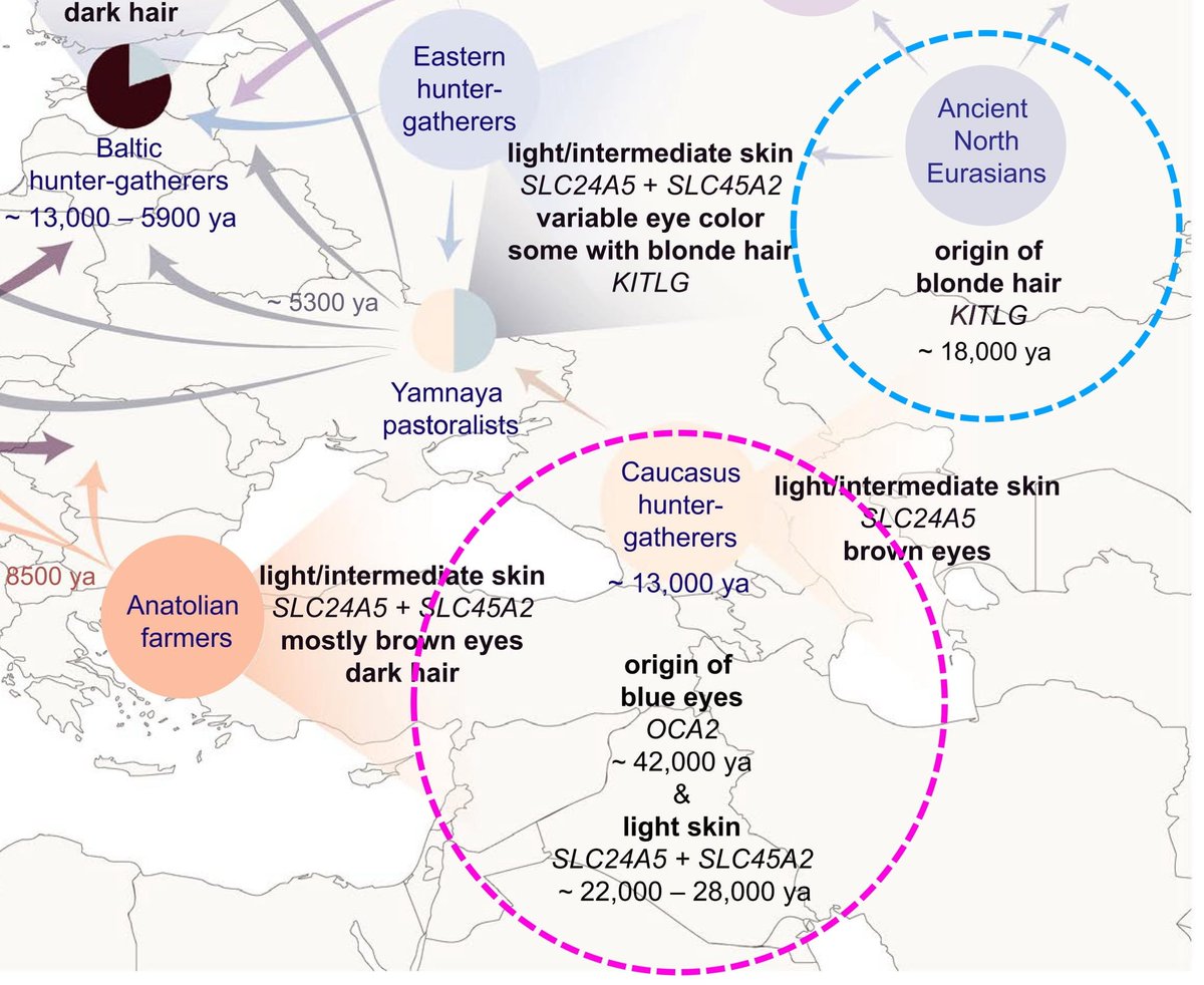 mohammed tweet media