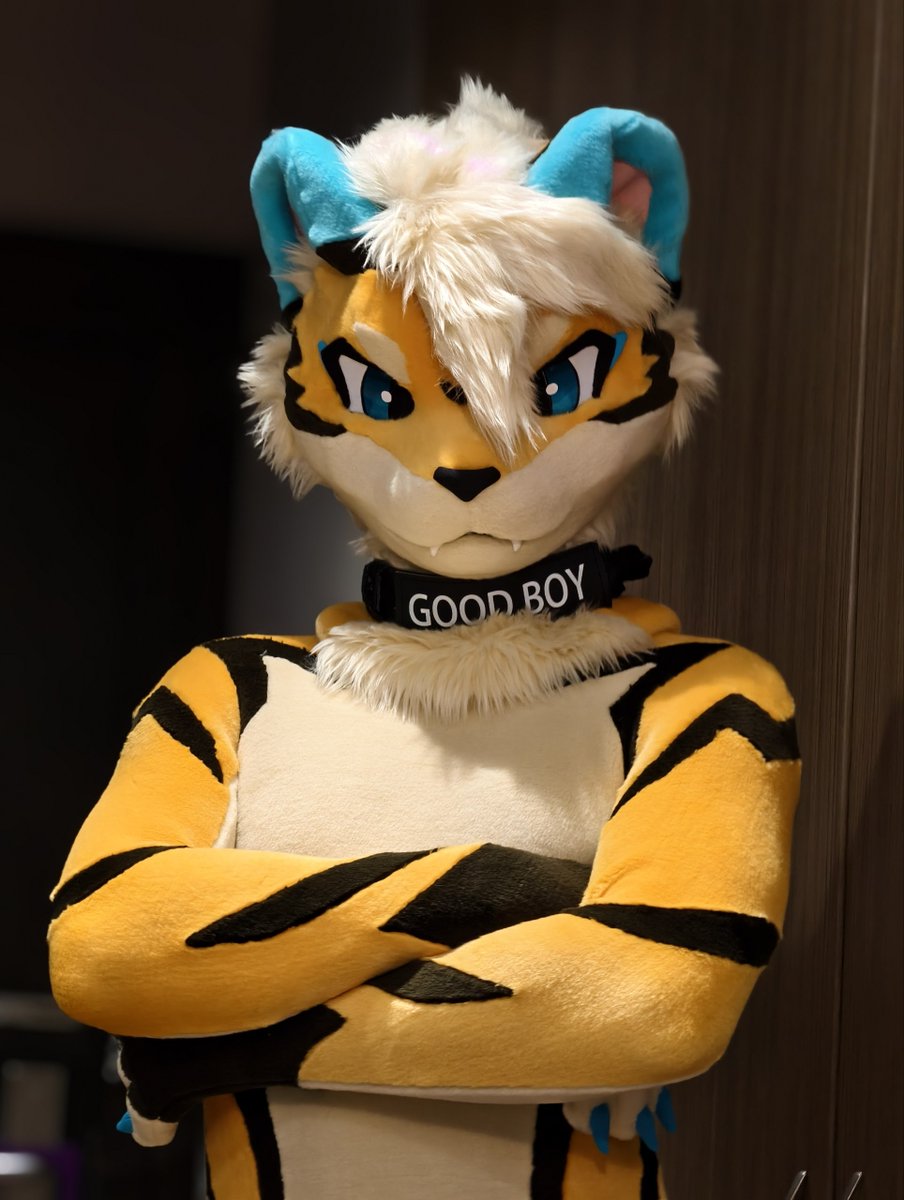 ⚡️CheetahPaws 獵豹爪⚡Thaitails - HiFurry tweet media