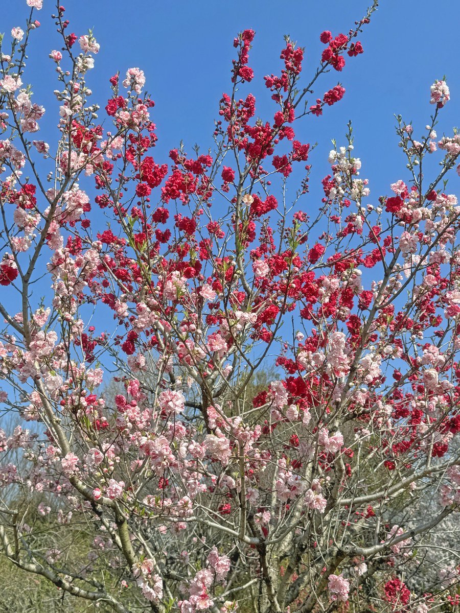 Hiro Kitsukawa tweet media