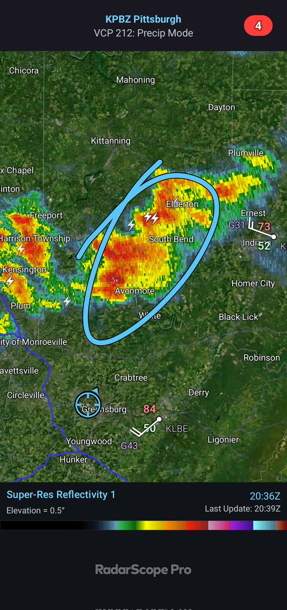 Evan Chiefer tweet media