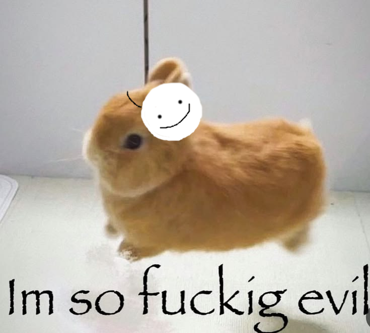 loyal 👑🐷💚 tweet media