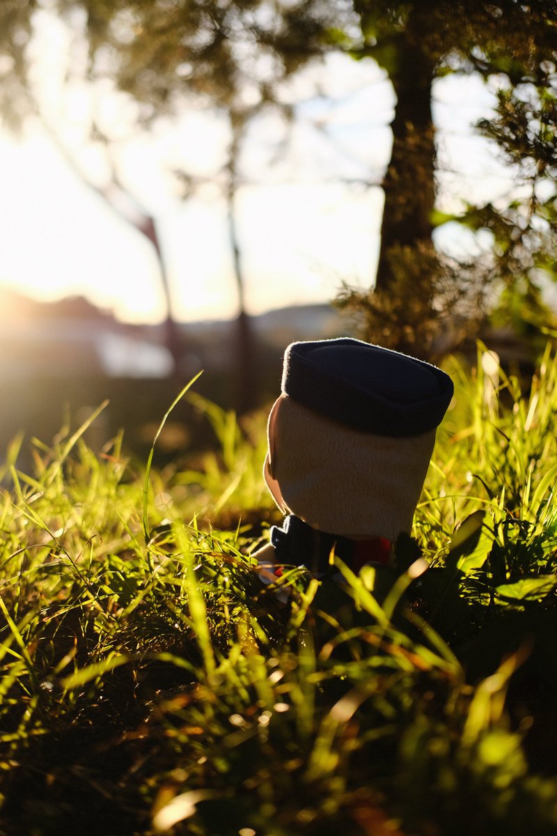 Fumo plush (Looking for V1 Chen Fumo) tweet media