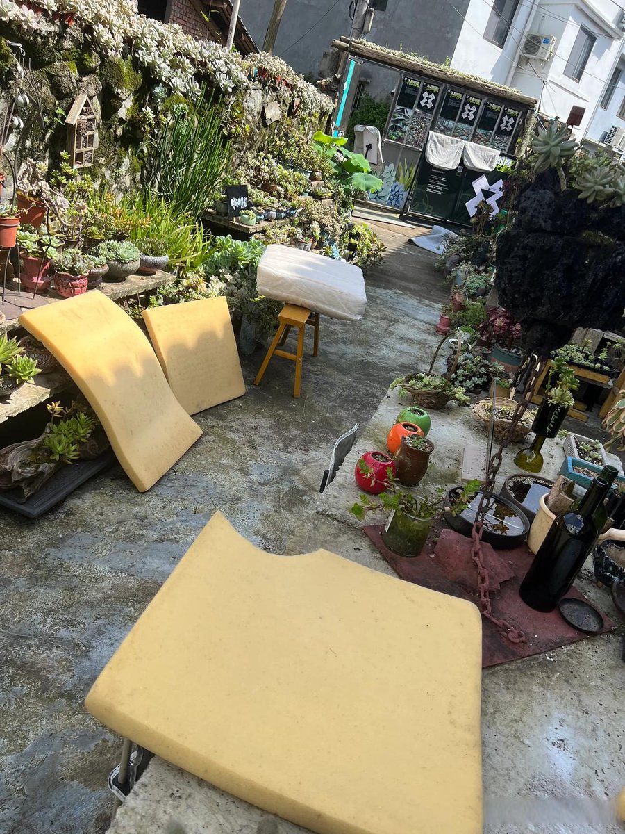 jona david tweet media