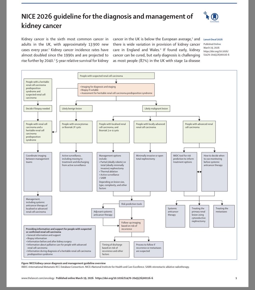 Emre Yekedüz tweet media