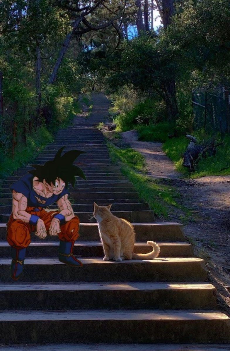 Dragon Ball Daily tweet media