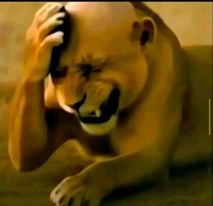 Вечер вкус💅 tweet media