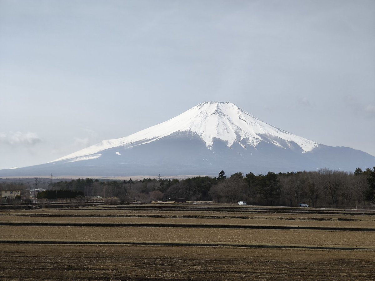 すずきみさ＠広報マーケ tweet media