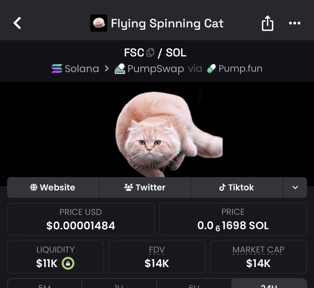 Flying Spinning Cat CTO tweet media