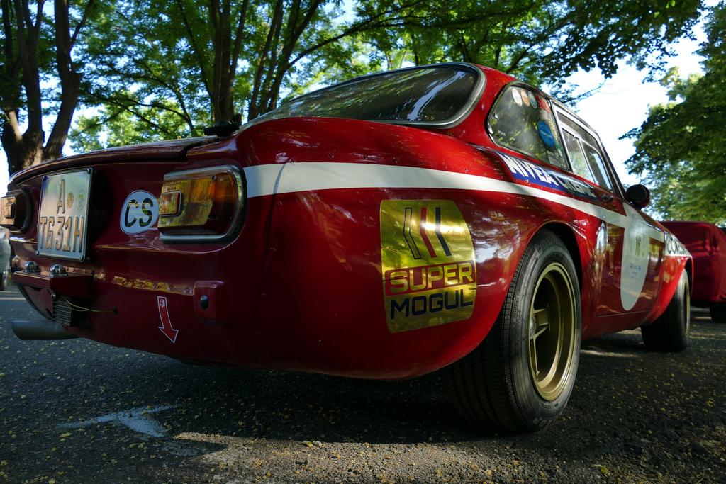 PRIMO 34004 RACING PHOTOS & VIDEOS tweet media