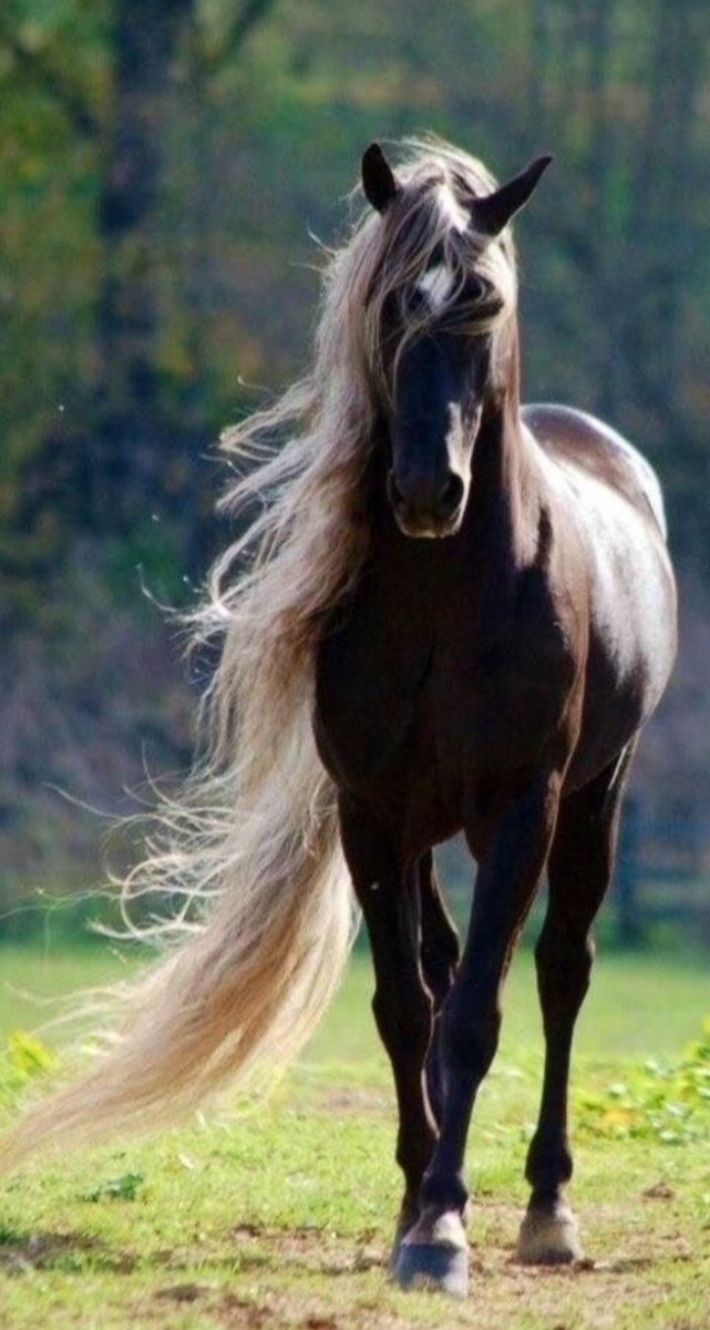 🌹 أنيقة الحرف 🌹 tweet media