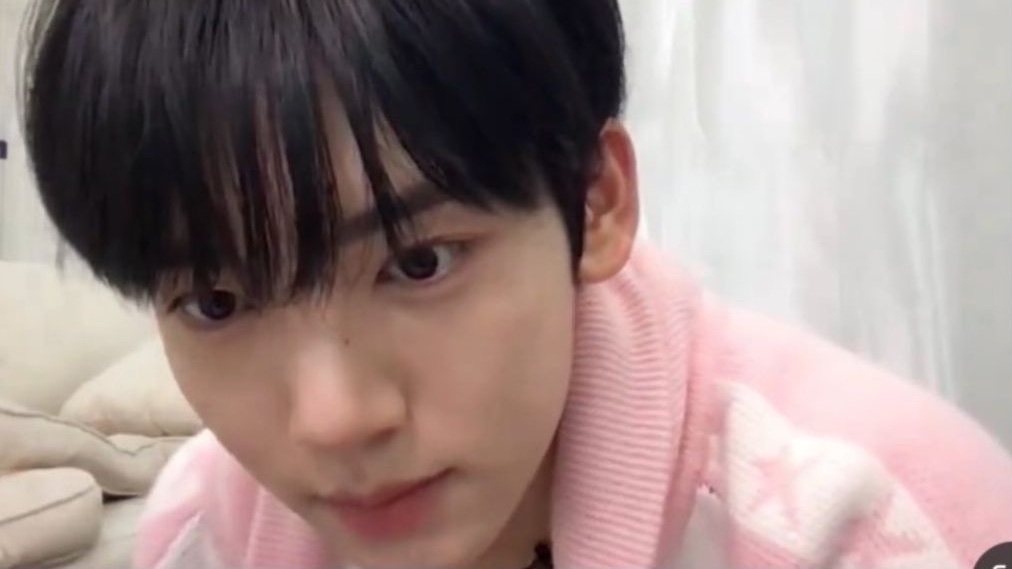 shbinist's tweet photo. pink bnuy🐰🎀 https://t.co/VZBW7RbPY7
