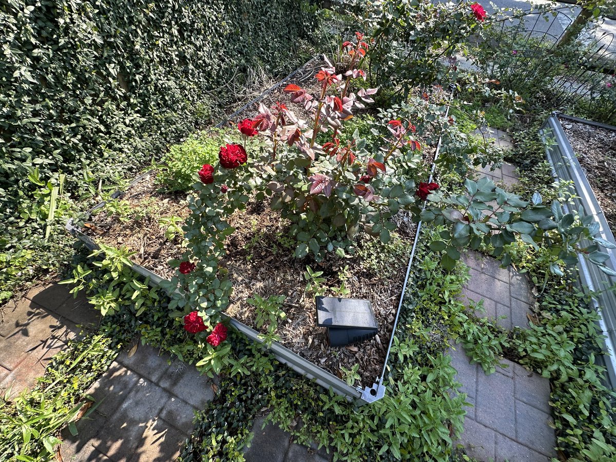 Patrick Skinner tweet media