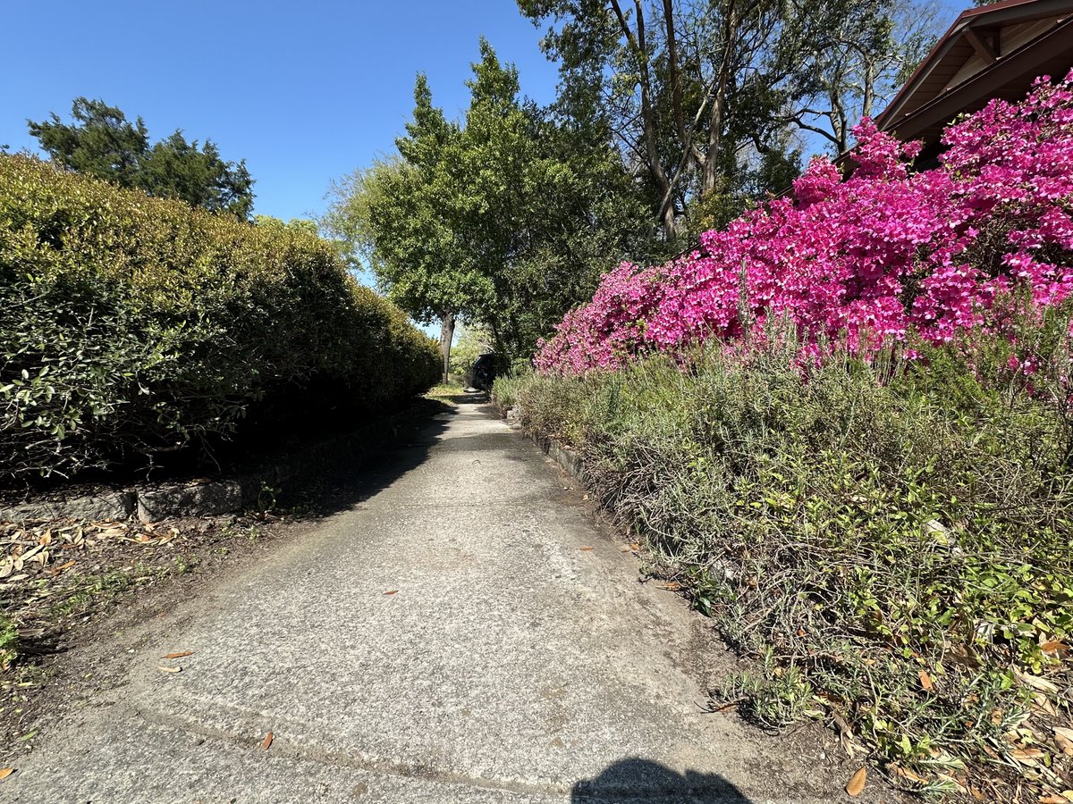 Patrick Skinner tweet media