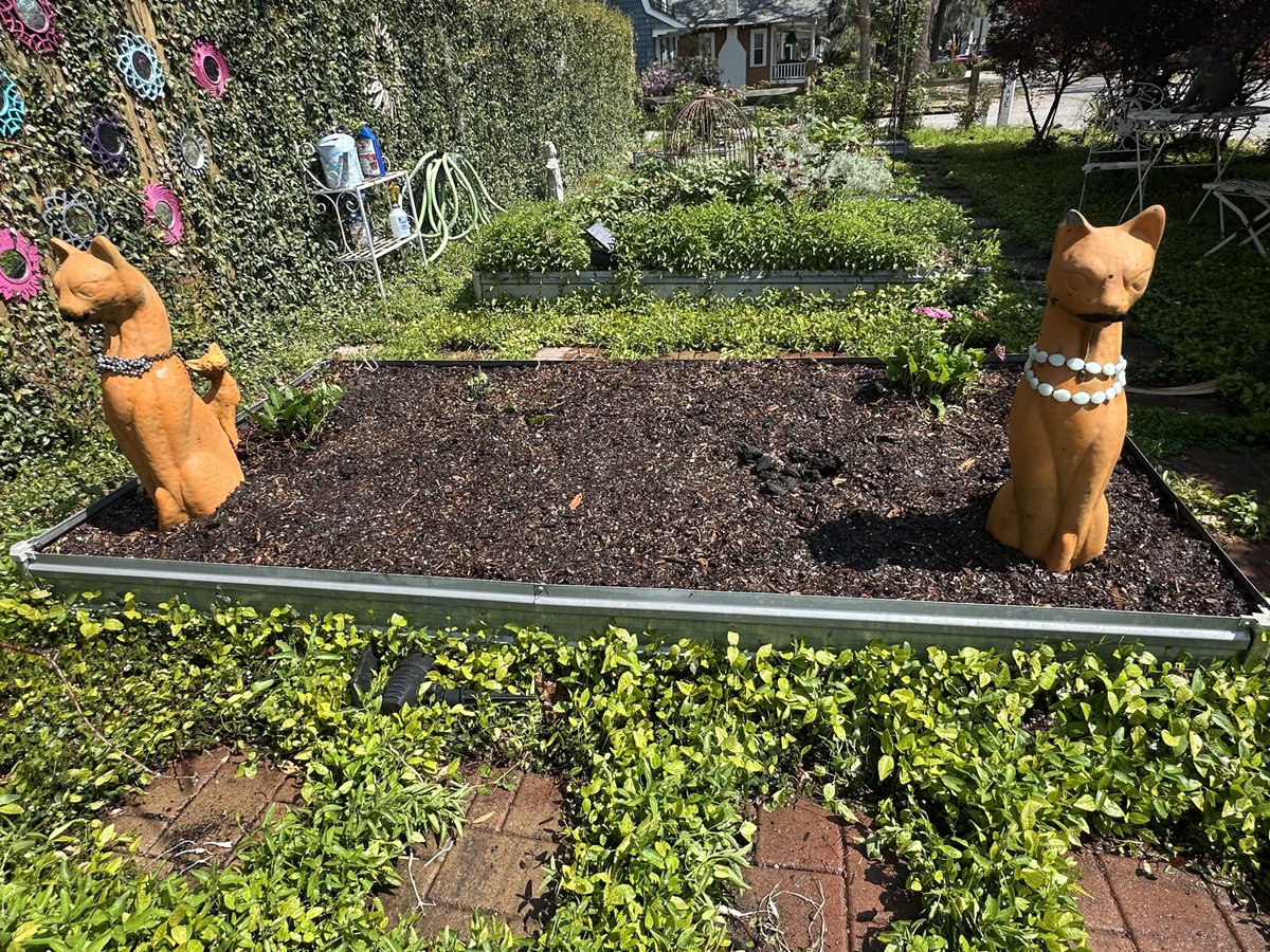 Patrick Skinner tweet media