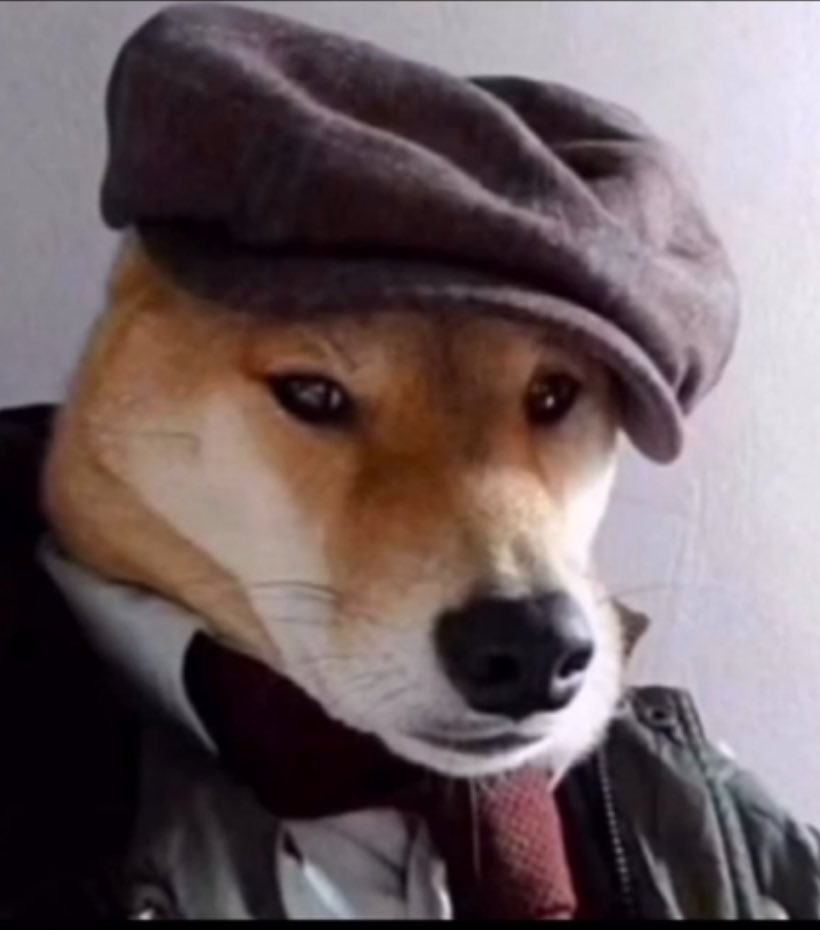 ناصر tweet media